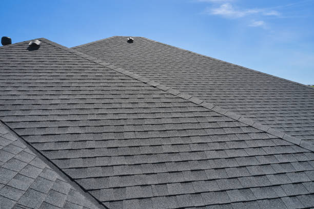 Best Roof Moss and Algae Removal  in Norwood, OH